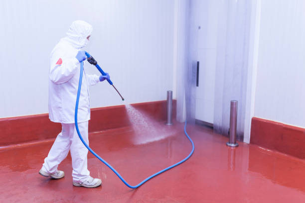 Best Residential Pressure Washing in Black Creek, WI